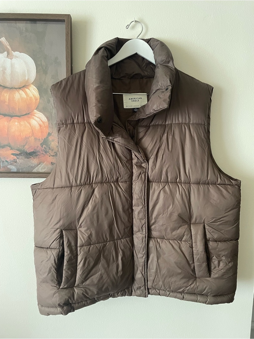 American Eagle Puffer Vest Dark Brown High Neck Sleeveless Jacket